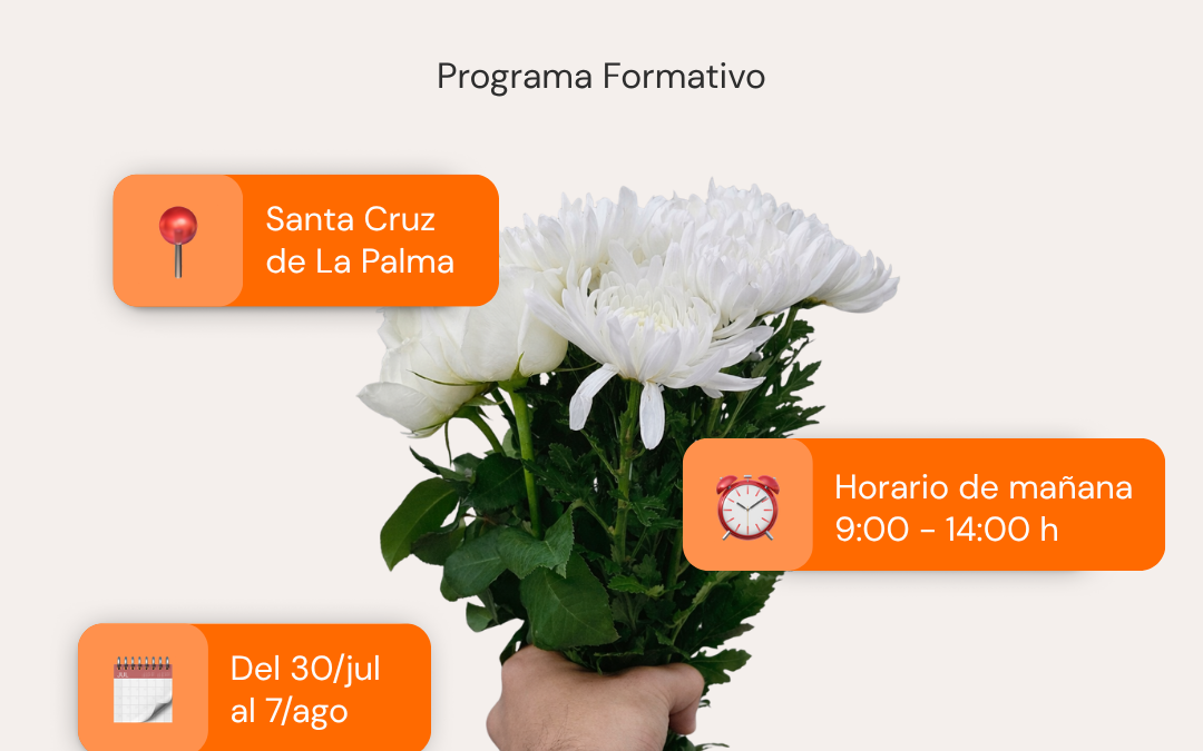 Acompañamiento al proceso de duelo